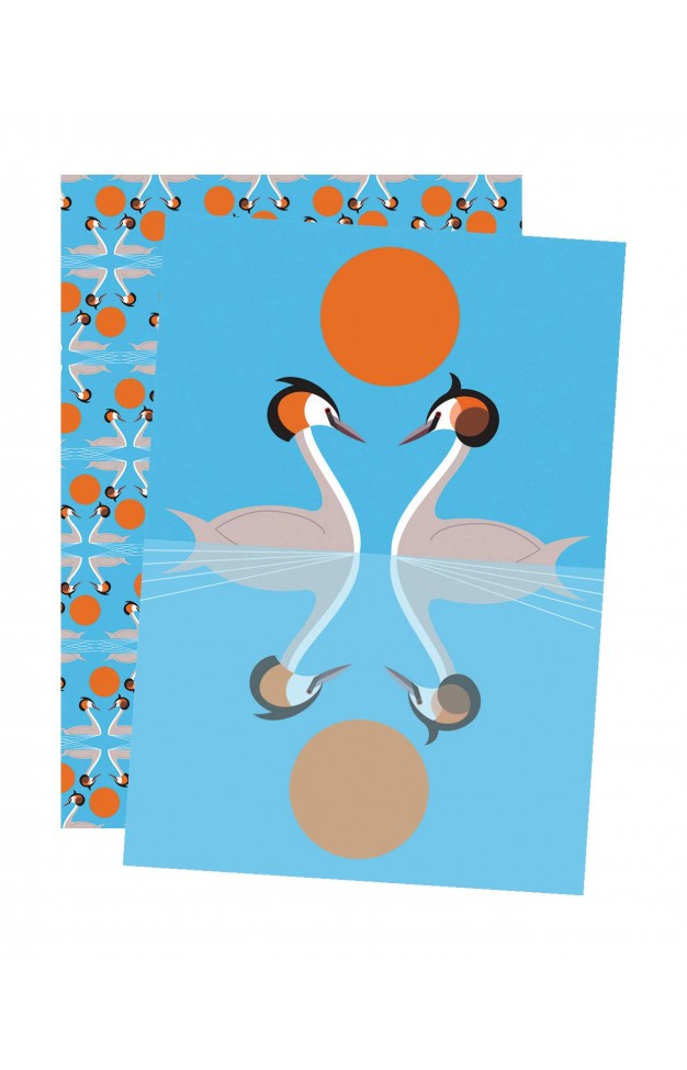 I Like Birds: Nesting Set of 2 Paperback Notebooks Diary